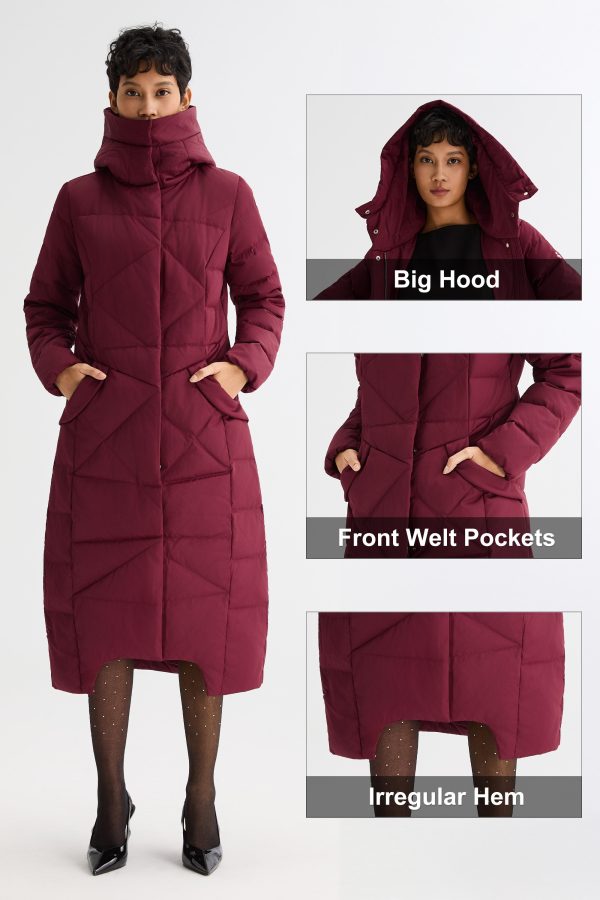 Long Maxi Down Coat with Hood - Image 7