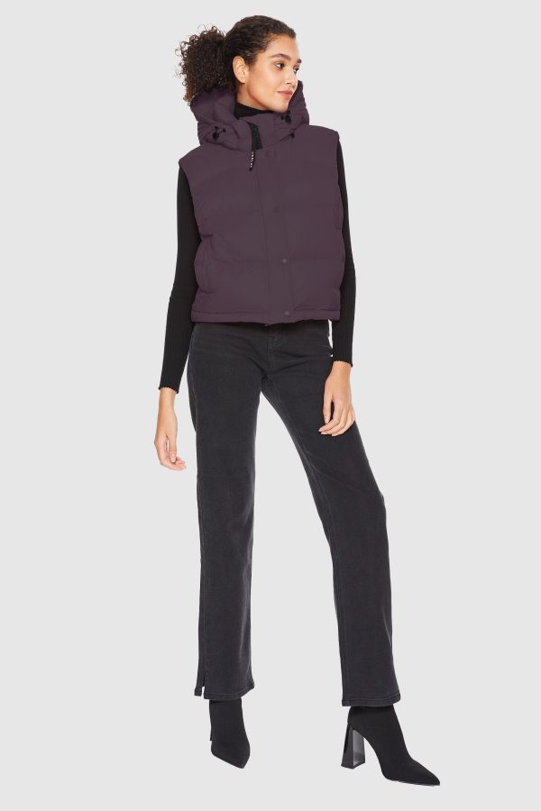 Aurora Hooded Down Puffer Vest - Image 14