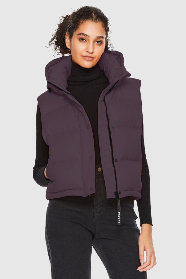 Aurora Hooded Down Puffer Vest - Image 15