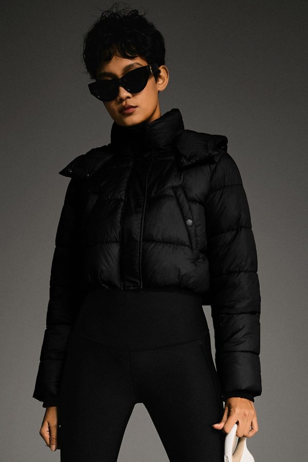 Urban Essential Cropped Lyrella Puffer Jacket - Image 31